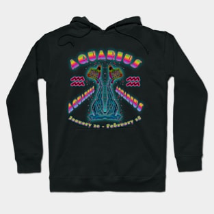 Aquarius 1a Ocean Hoodie